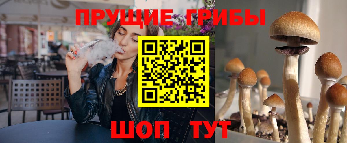 Псилоцибиновые грибы Cubensis Верхняя Салда